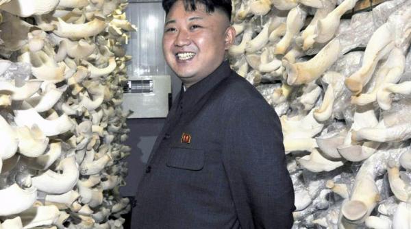 kim jong un dispus sa dialogheze cu presa occidentala ce suma cere liderul nord coreean pentru un interviu