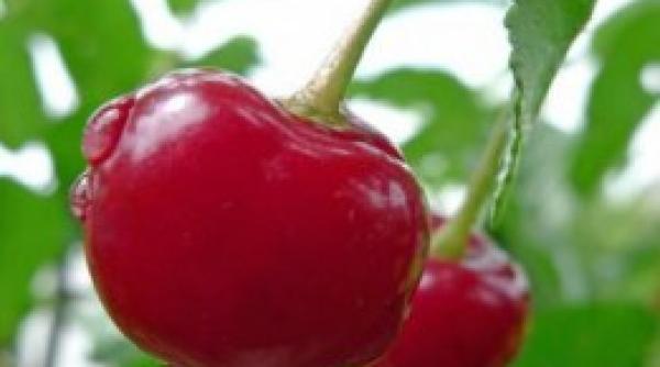 insomnie tratament remedii