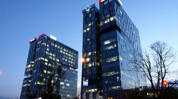 numarul societatilor comerciale cu participare straina la capital a crescut la 189 305 in iunie