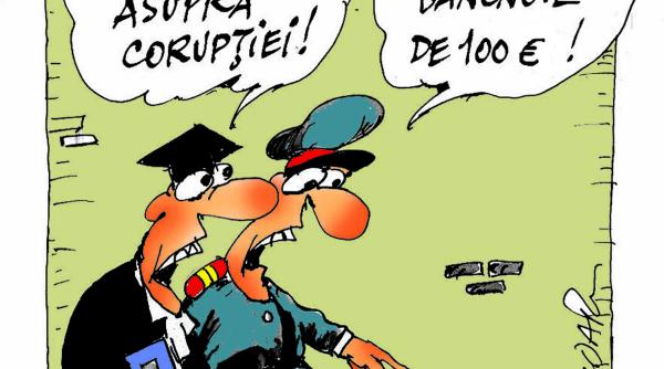 caricatura zilei 24 iulie 2013