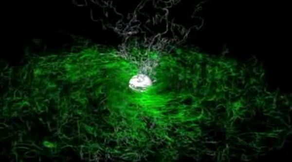 origine aur stele neutronice raze gamma