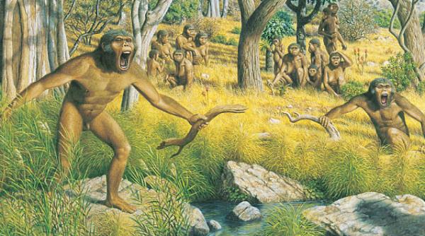 o bucata de cutit dovada existentei hominizilor in europa in urma cu 1 4 milioane de ani