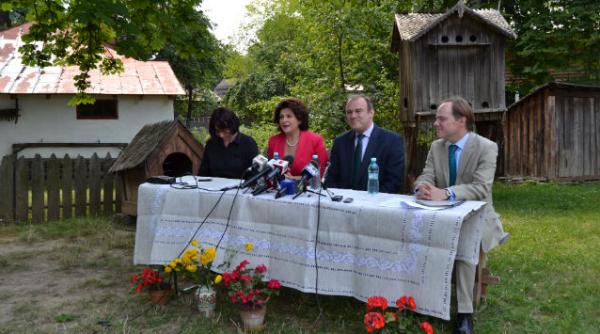 rovana plumb ed davey muzeul satului