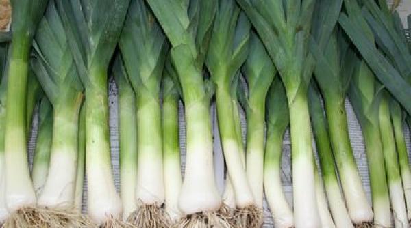 bucataria lumii cu papornita de praz la poarta raiului