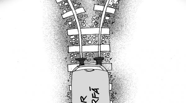 caricatura zilei 29 iulie 2013