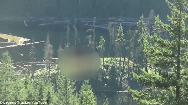 descoperire bizara in padure ce au filmat doi tineri care se plimbau prin salbaticie in provincia canadiana british columbia video