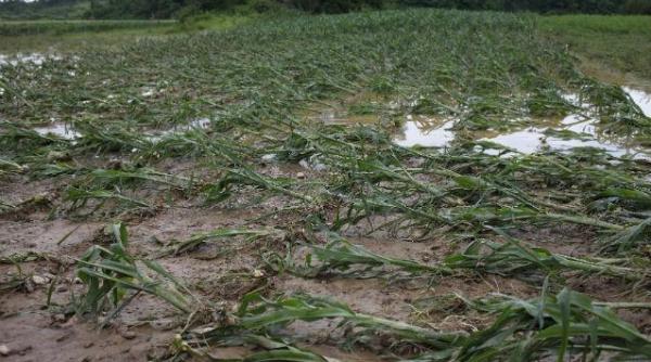 furtuna indundatii giurgiu