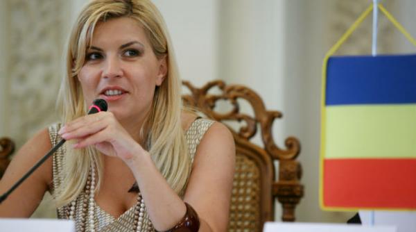 udrea formatiunile de dreapta inclusiv pnl fara antonescu trebuie sa aiba candidat comun in 2014