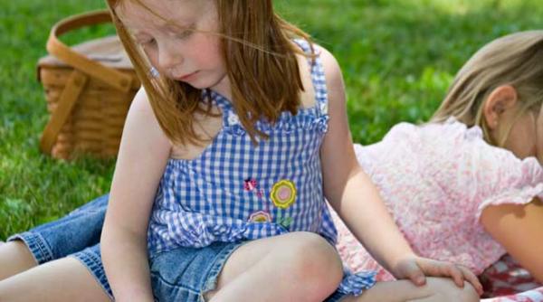 insecte cu intepaturi fatale evitati automedicatia si leacurile babesti