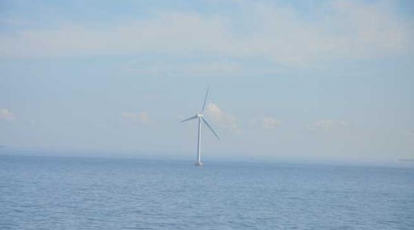 cantarea romaniei defaimarea occidentului 11 primire cu caine i sare