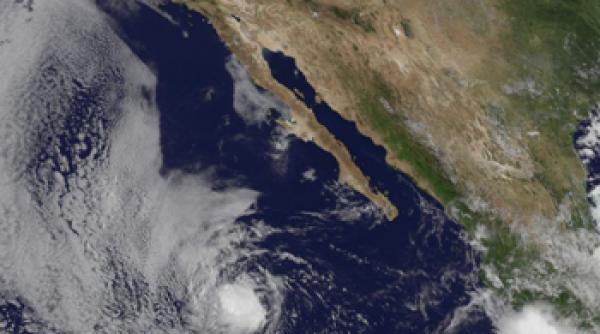 furtuna tropicala henriette pacific