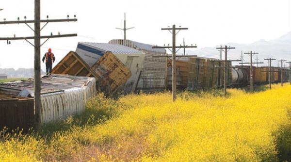 trens substante chimice deraiat