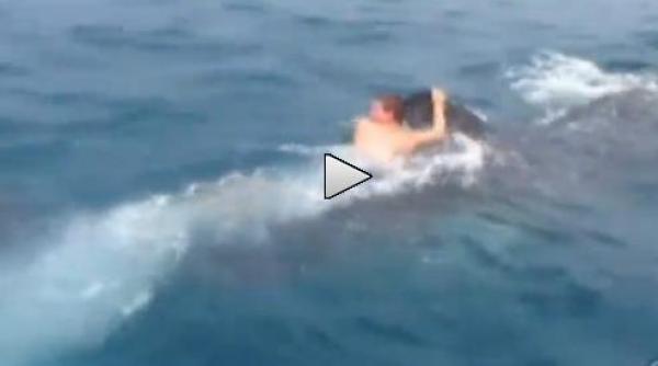 un tanar isi risca viata sarind pe un rechin balena e uluitor asa ceva nu se face spun specialistii video