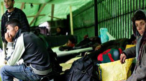 politia din oslo a arestat in 2013 mai multi romani decat localnici