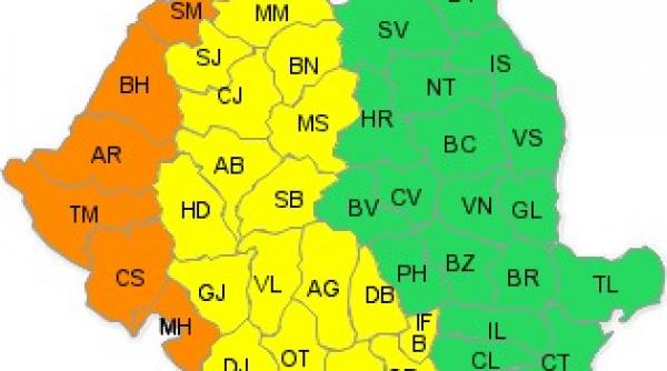 cod portocaliu canicula