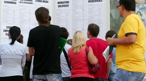 organizatia mondiala a muncii in romania 15 dintre tineri sunt prea educati procentul e mai mare decat in marea britanie sau germania