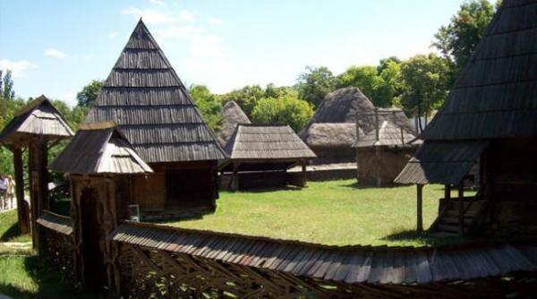 flori de mina din maramures la muzeul satului