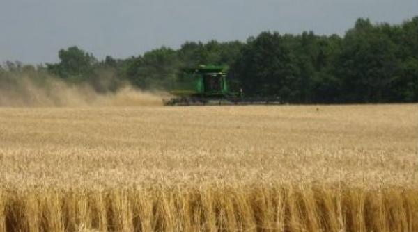 romania a inregistrat cea mai mare productie de grau din ultimii opt ani productii record si la orez ovaz si rapita