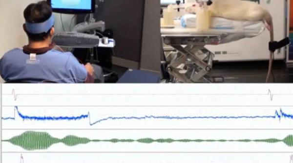 telepatie experiment harvard