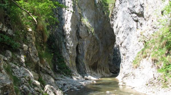 desene cu steagul ungariei in rezervatia naturala cheile rametului