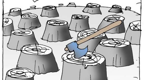 caricatura zilei 13 august 2013