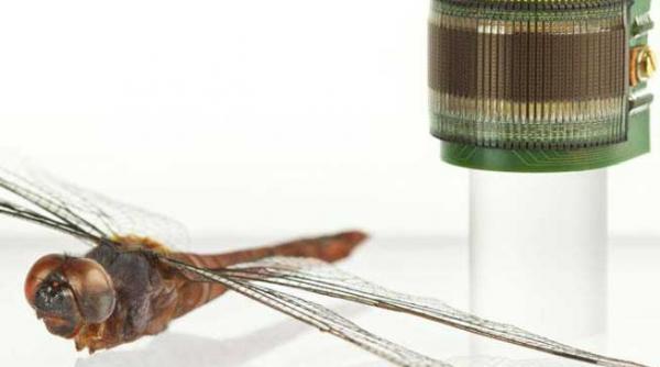 primii ochi artificiali creati in laborator ue a dat 2 milioane de euro pentru proiect vezi ce utilitate ar putea avea