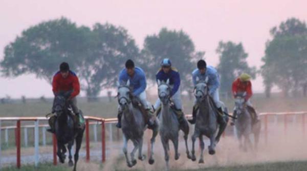 350 de cai intr un show spectaculos in weekend la herghelia mangalia