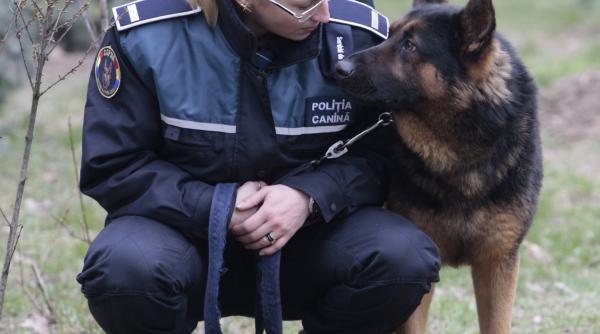 cainii politisti din republica moldova vor raspunde numai comenzilor in limba romana