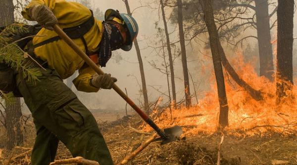 incendiu masiv de padure in insula thassos in plin sezon turistic