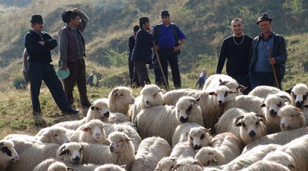 marginimea sibiului legenda cu site