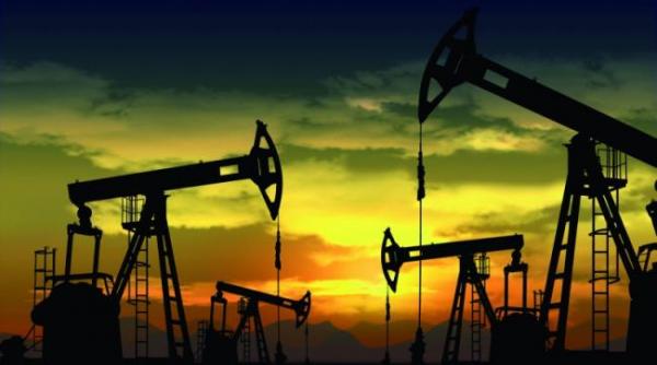 omenirea a folosit deja resursele pe care le poate oferi pamantul