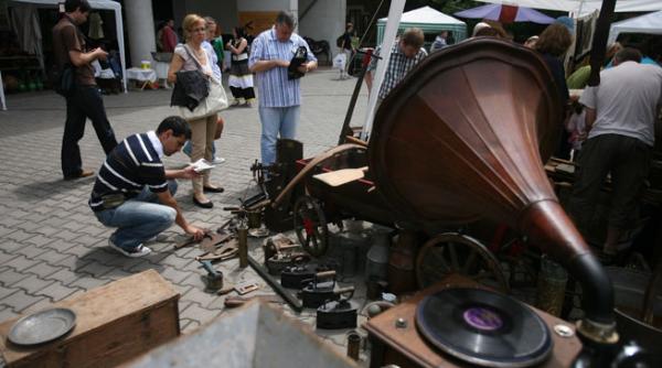 muzici de pe valea timocului la muzeul taranului