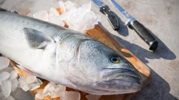 bucataria lumii lufarul frate cu chefalul reteta unei saramuri pontice