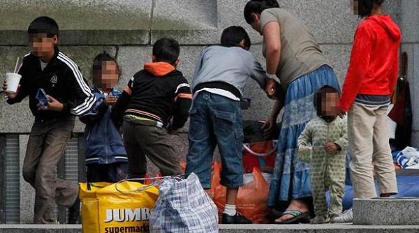 romi cu cv uri online