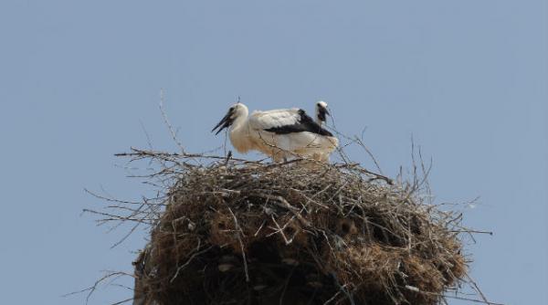 consumatorii de energie care si au schimbat furnizorul nu mai pot reveni la tarifele reglementate la electricitate
