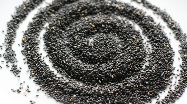 esente tari semintele de susan negru si promisiunea nemuririi