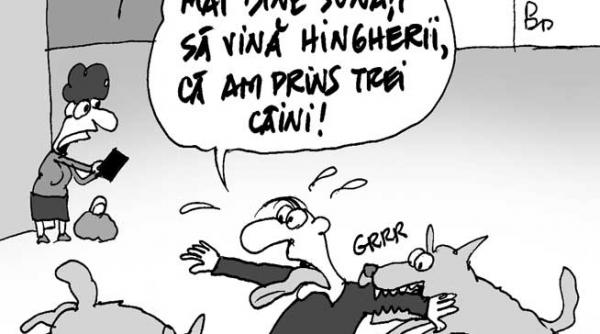 caricatura zilei 4 septembrie 2013