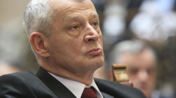 oprescu in bucuresti sunt 64 000 de caini maidanezi