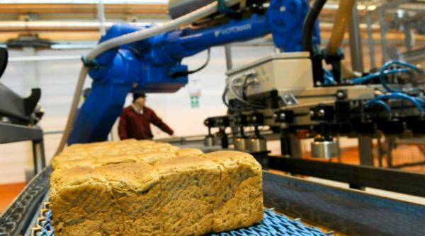 tva paine producatori comercianti pret