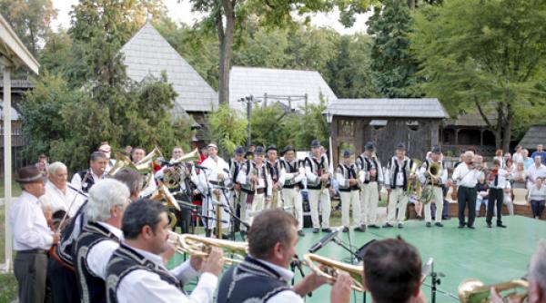 festivalul tarafuri fanfare 2013