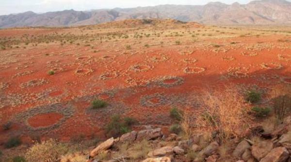fenomen inexplicabil cercurile zanelor misterul din desertul din namibia ce spun cercetatorii video
