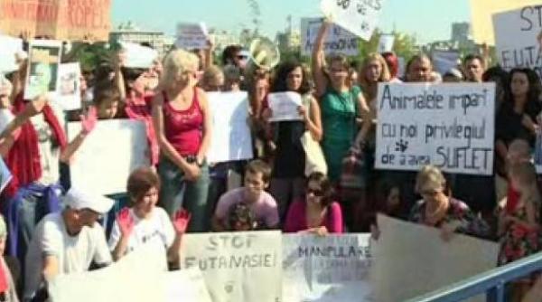 iubitorii de animale protesteaza in fata camerei deputatilor impotriva legii eutanasierii cainilor fara stapan