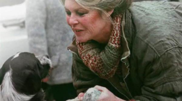 brigitte bardot despre basescu pe tema maidanezilor un tiran care nu se gandeste decat sa ucida