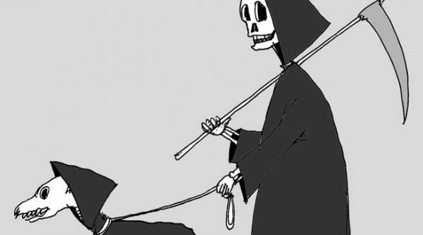 caricatura zilei 13 septembrie 2013