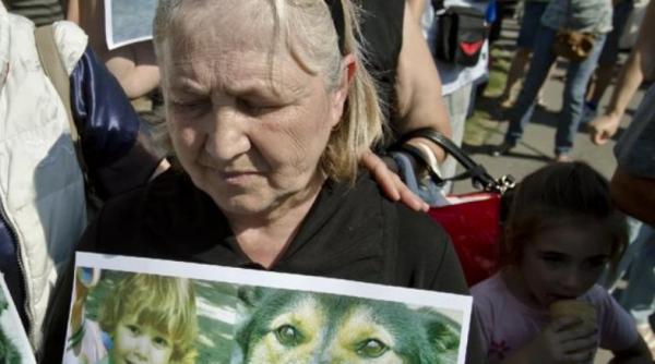 bunica lui ionut baietelul ucis de cainii maidanezi este audiata de procurori