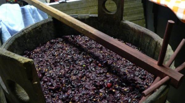 o femeie si fiul ei omorati de gazul emanat de mustul in fermentatie