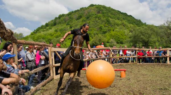 actorul denis stefan va prezenta numere speciale de dresaj la salonul calului