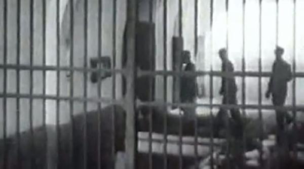 groaza prin care au trecut victimele tortionarului ficior era un iad ne bateau din nimic