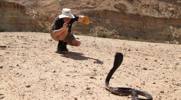 corijent in romania premiant in sua a picat capacitatea dupa care a ajuns in stafful unei universitati americane de top