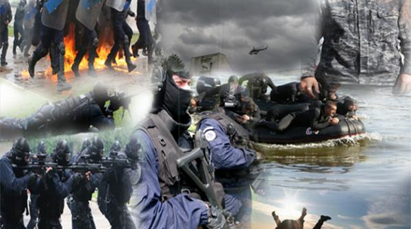 demonstratii ale armatei romane la aeronautic show 2013